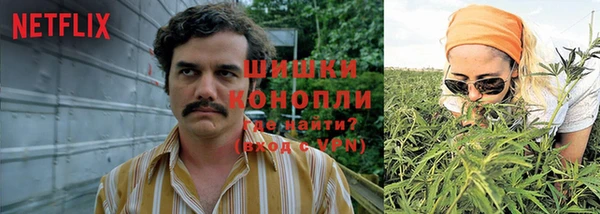 прущие грибы Алексин