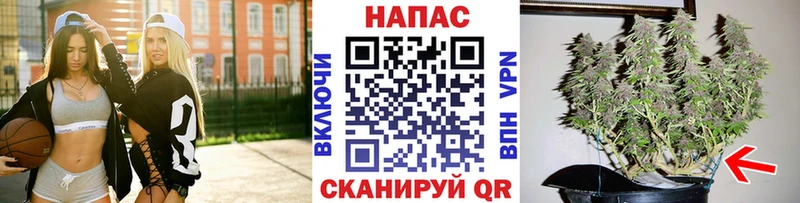 Шишки марихуана тримм  дарнет шоп  мориарти Telegram  Верхоянск 